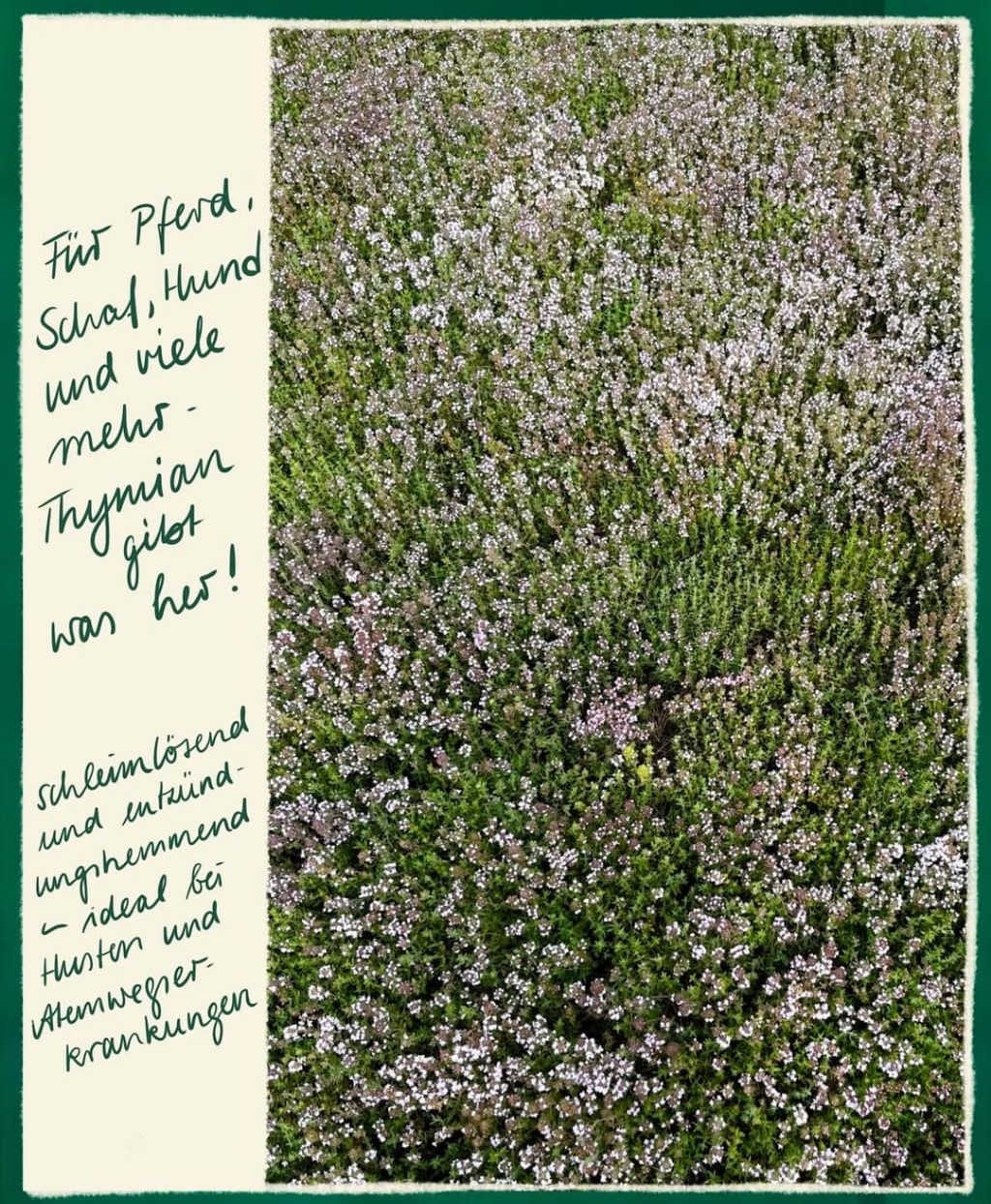 WhatsApp Image 2025 06 04 at 13.46.11